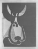 Head of a Bull - facing toward left