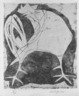 Il Gallo