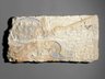 Relief of Queen Nefertiti Kissing One of Her Daughters