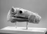 Brooklyn Museum: Horse Head
