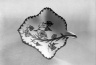 Leaf-Shaped Sweet Meat Dish