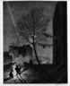 Tree, Manhattan