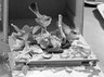 Bird Statuette: Pair of Gnat Catchers