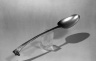 Spoon