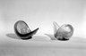Brooklyn Museum: Pair of Salts