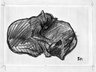 Two Sleeping Cats