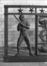 Railing (One of Seven Sections) from the Police Gazette Building, 338-344 Pearl Street, NYC