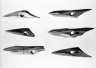 Harpoon Tip
