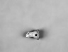 Seal Head Toggle