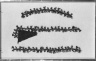 Mantle, Fragment