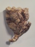 Wall Pocket