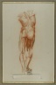 &Atilde;�corch&Atilde;&copy; (Figure Study of Musculature)