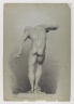Nude Study