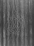 Line Involvements IV