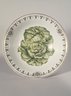 Salad Bowl