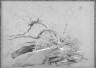 Brooklyn Museum: Catskills