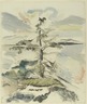 Pine Tree