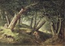 Brooklyn Museum: In the Forest