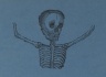 Skeleton Head & Torso