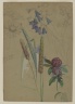 Flower Study