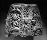 Brooklyn Museum: Top Section of a Water Jug