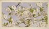 Brooklyn Museum: Apple Blossoms