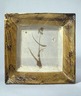 Square Plate