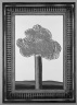 Picture of a Landscape in an Elaborate Gold Frame