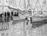 Fishing Boats, Gloucester