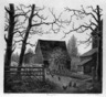 Barnyard