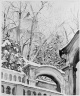 Winter Garden in Prague II