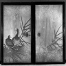 Geese and Herons