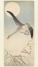 Goose Flying in Moonlight