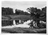 Summer Pond