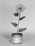 Potted Plant, Crystal Pot