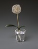 Potted Dandelion Plant, Crystal Pot