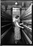 [Untitled]  (Women in Bobbin Aisle)