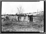 [Untitled] (Shanties and Leafless Trees)