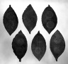 Set of Six Leaf - Shaped Side Dishes and Storage Box