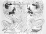 Untitled (Bat One)