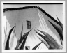Ventana a los Magueyes