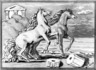 Two Horsemen on Seashore