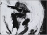 [Untitled]