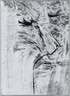 [Untitled]