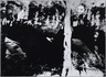 [Untitled]