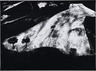 [Untitled]