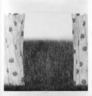 Curtain