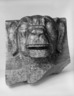 Head of a Dog, from Turner Towers, 135 Eastern Parkway, Brooklyn