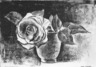 Untitled Lithograph