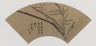Bamboo